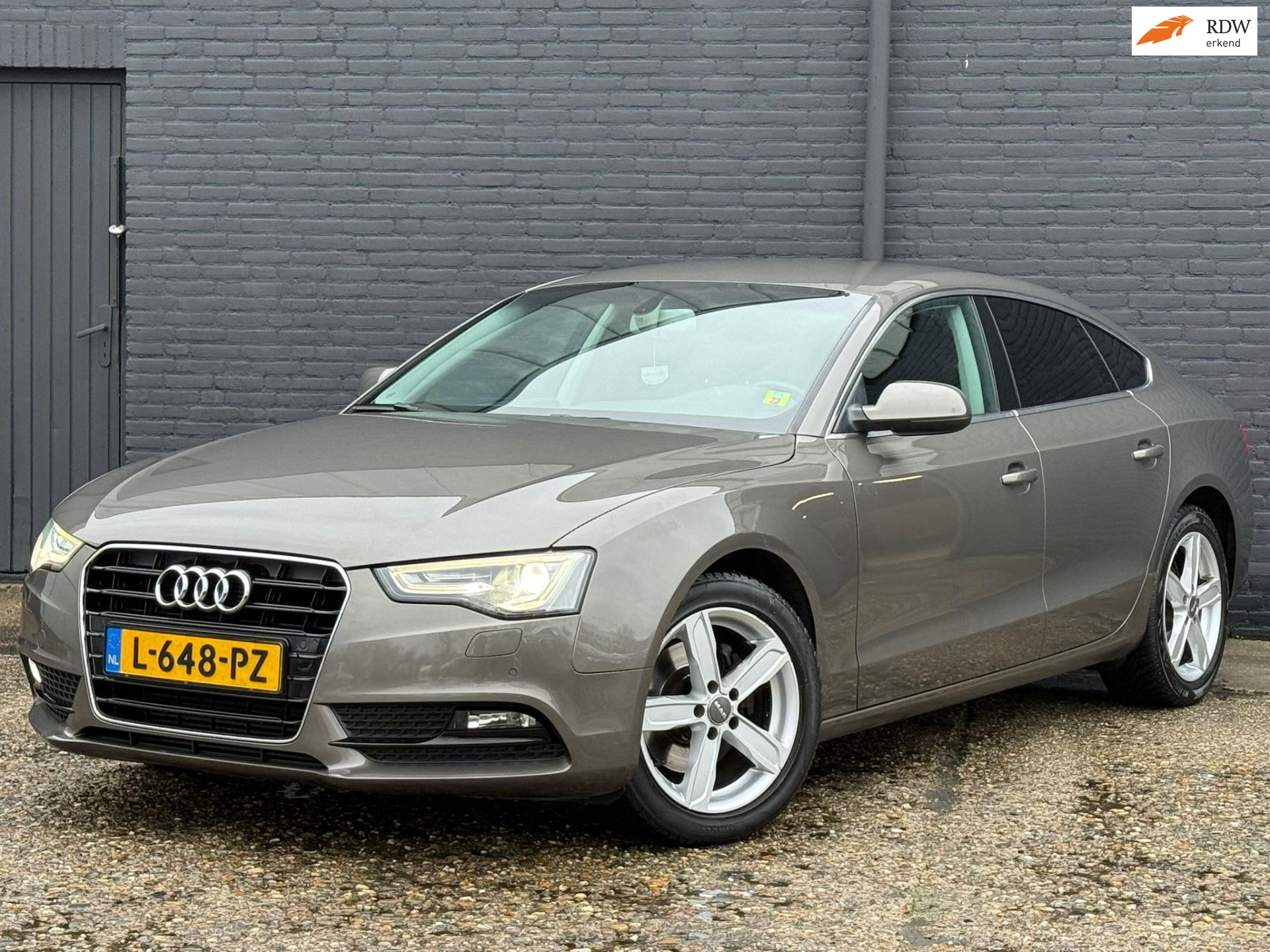 55372266-28.jpg